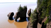 PICTURES/New Brunswick - Hopewell Rocks/t_Rocks1.JPG